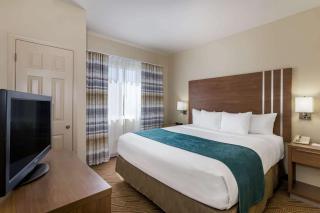 Hawthorn Extended Stay by Wyndham Naples - Naples - 2
