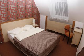 Wellness Hotel Diana - Velké Losiny - 1
