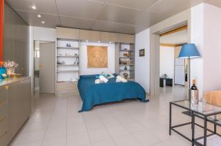 Panoramic view roof garden apartment - 0