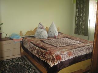 Бацули - 3