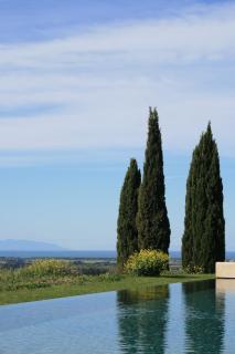 Agriturismo Le Tassinaie - Castellina Marittima - 4