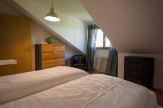 Das Nest am Wohrenberg - 8