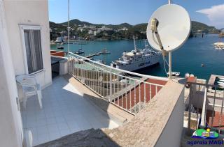 Magi - Orchidea - Ponza - 9