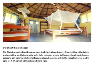 Pariango Beach Motel - 4