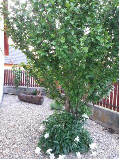 Csónakos Vendégház - Tiszafüred - 4