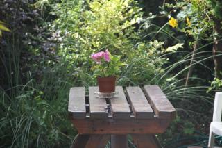 Marguerite's B&B - Skibbereen - 2