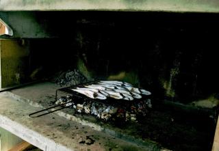 Nest for a rest - Seget Vranjica - 7