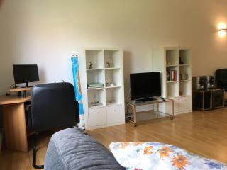 AppleCat - Roma - 4