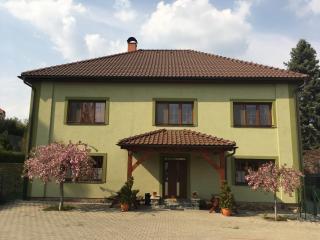 Penzion U Horských - Čáslav - 4