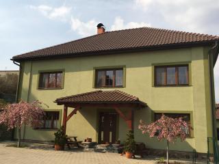 Penzion U Horských - Čáslav - 8