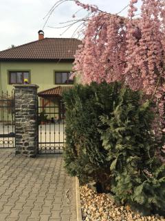 Penzion U Horských - Čáslav - 9