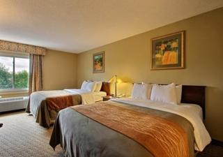 Comfort Inn New Holland Amish Country - 3