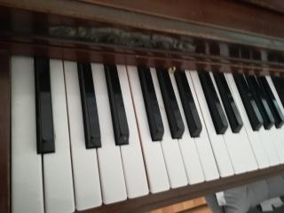 The Piano Apartment - Zavalatica - 0