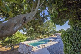 i Trulli di Figazzano - Locorotondo - 0