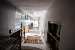 Apartments Golden Roof by Penz - Innsbruck - 5