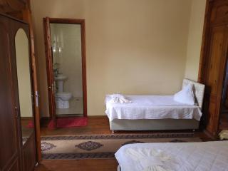 Shorena's House - 1