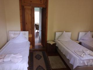 Shorena's House - 2