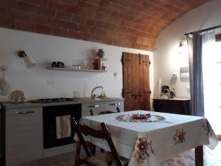 Podere Alberello - Torrita di Siena - 4