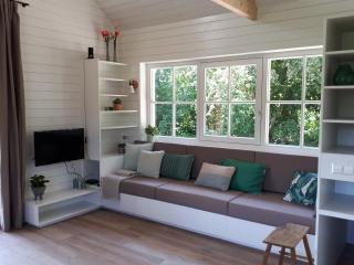 Lodges near the Rhine - Sustainable Residence - Hazerswoude-Rijndijk - 8