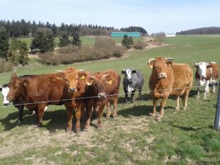 Ferienwohnung Scheid - 1