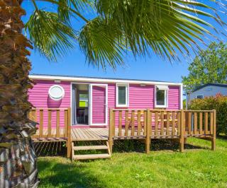 Camping Taxo Les Pins - Argelès-sur-Mer - 5