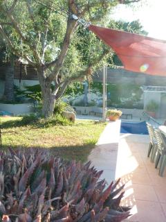 La Villa du Petit Port - Martigues - 3