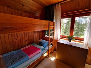 Chalet Stara Jelka Pokljuka - Zgornje Gorje - 6