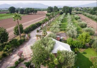 Villa Rosa Lifestyle B&B - Sessa Aurunca - 3