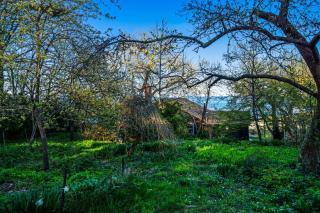Rustic Rockport Cottage - Rockport - 8