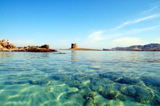 Stintino Country Paradise - Resort & Villas - Stintino - 2