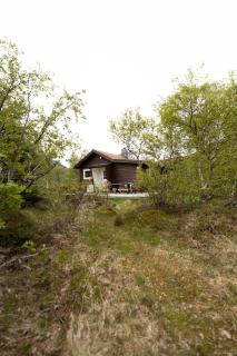 Haugteig - Lyngværet - 9