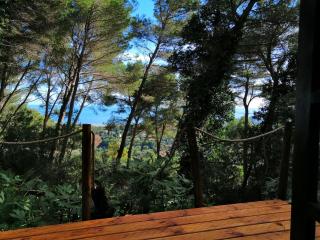 Cabane azur mountain - Vallauris - 3