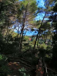 Cabane azur mountain - Vallauris - 5