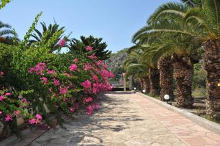 Charming Beach Cottage - Paradise on Earth - 5