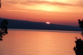 Apartments Nedo Dalmatia - 0