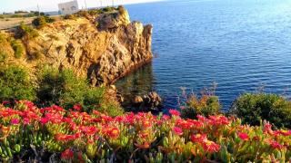 Calatabarca B&B - Tabarca - 0