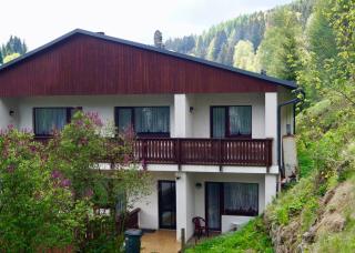 Pension zum Ritter - Katzhütte - 9