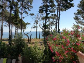 Villa bord de mer Corse - 0