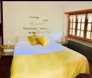 Gold Cave casa vacanze relax nel bosco appartamenti - 1