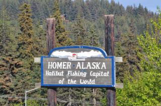 Homerhome - Homer - 5