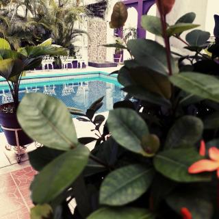 Hotel Michelle - San Andrés Tuxtla - 8