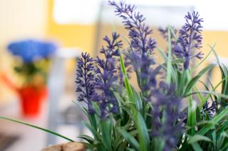 ATH Airport Suites Free Shuttle From And To Athens Airport - 1