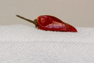 Santa Fe Motel & Inn - 1