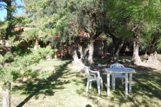 Suter Petit Hotel - 3