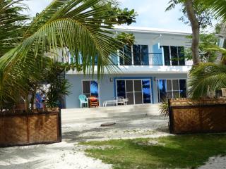 D & B BLUESTAR BEACH RESORT - Panglao Island - 0