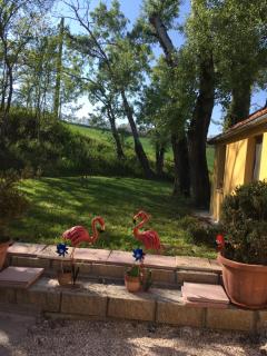 Agriturismo Fattoria del Colle - Jesi - 4