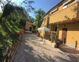 Agriturismo Fattoria del Colle - Jesi - 5