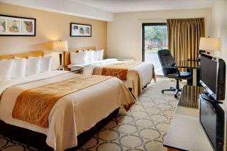 Comfort Inn Airport - Winnipeg - 9
