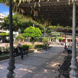 Beautiful modern apartment 100m from the sea - 4