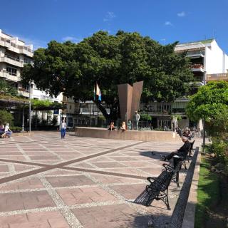 Beautiful modern apartment 100m from the sea - 5